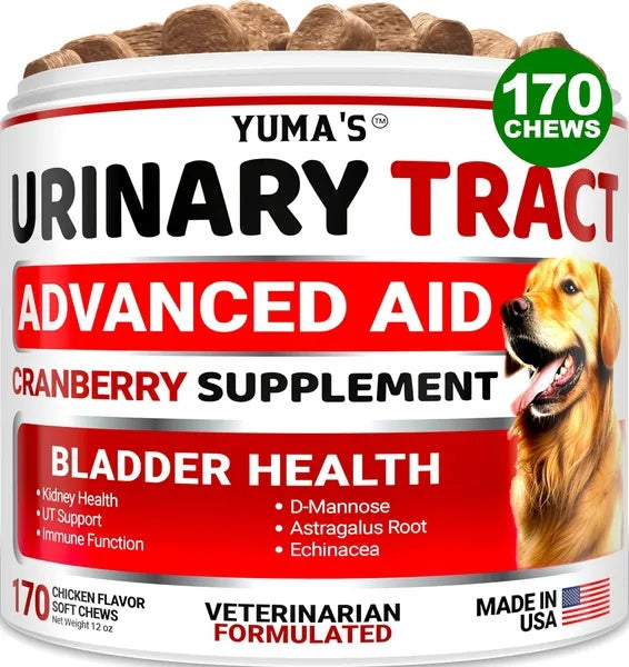 Cranberry UTI Treatment for Dogs - 170 Chews for Bladder Health