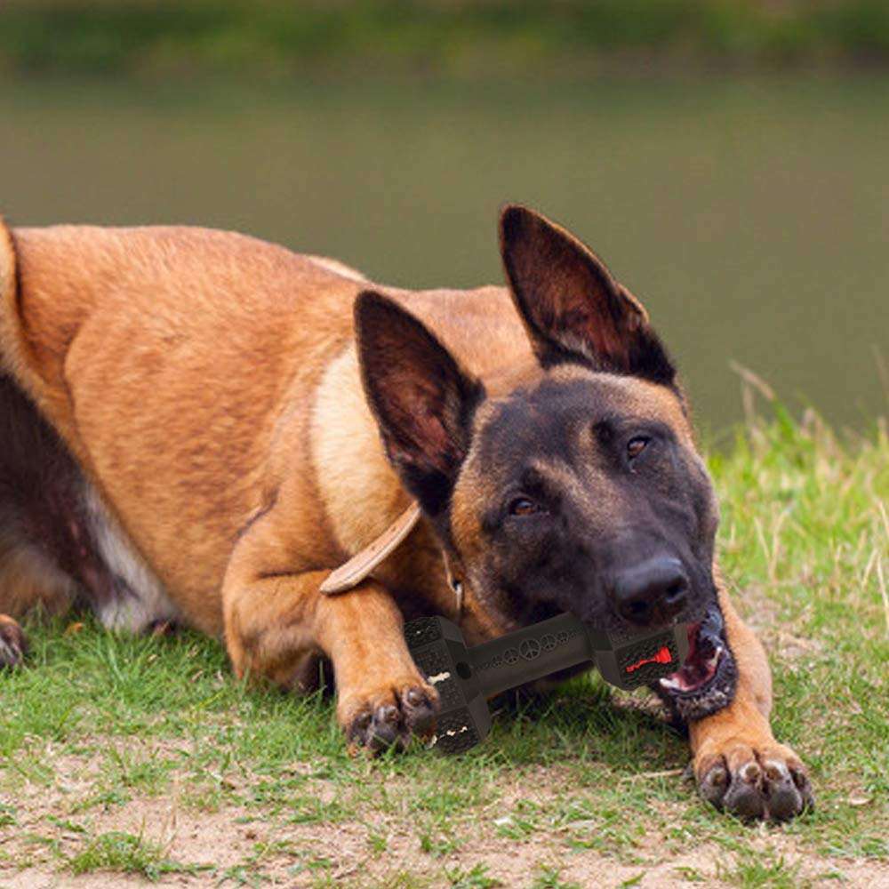 Durable Dog Chew Toys For Large Dogs