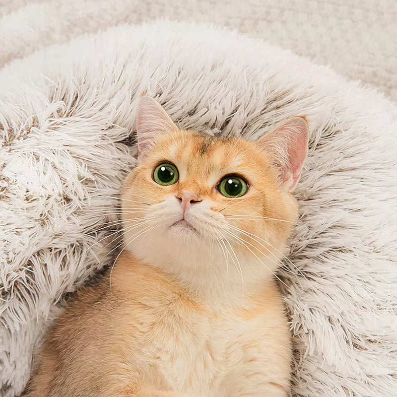 Winter Long Plush Pet Bed