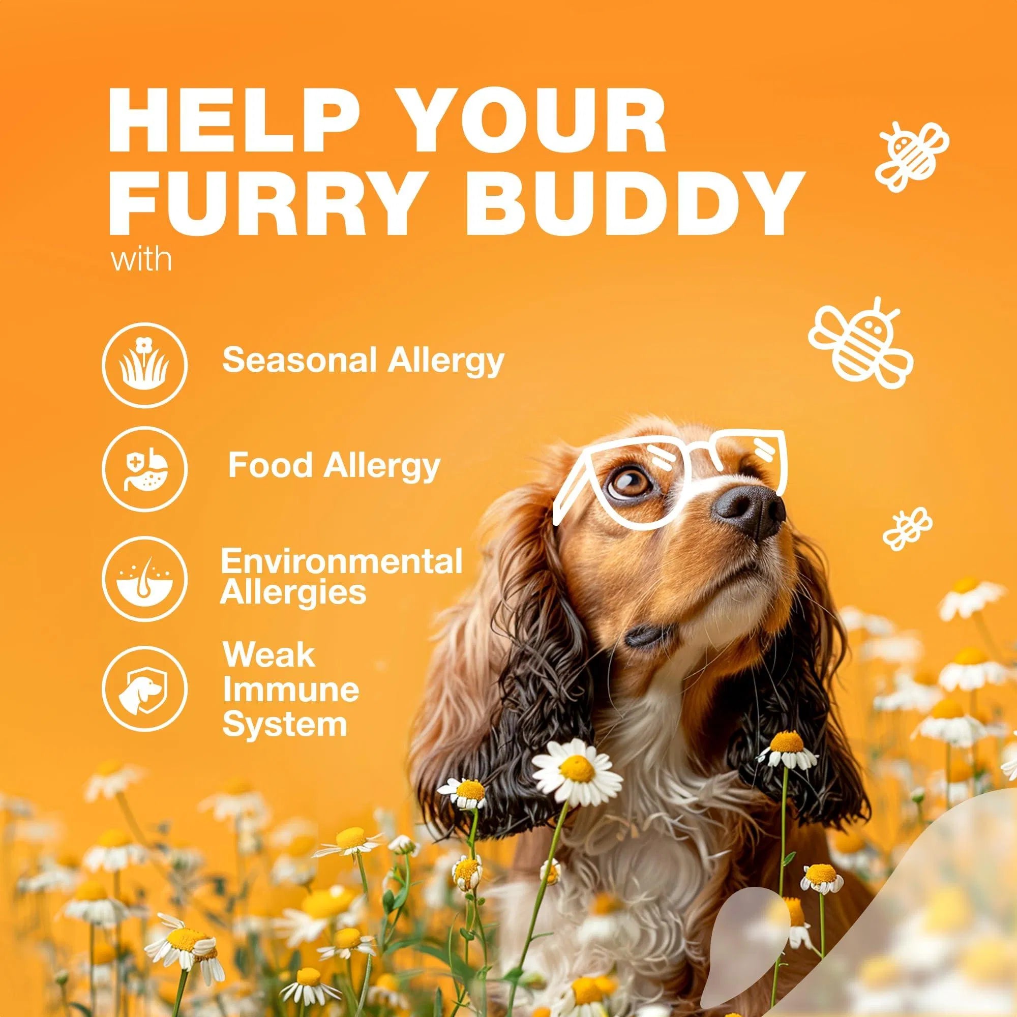 Dog Allergy Relief Chews for Itch and Skin Health Support