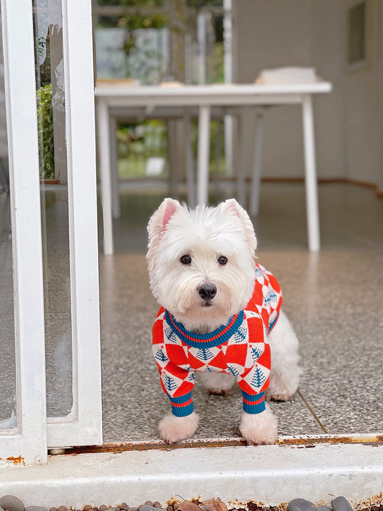 Pet Clothing Sweater