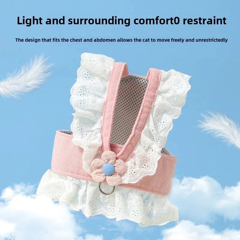 Dog Walking Strap Leash