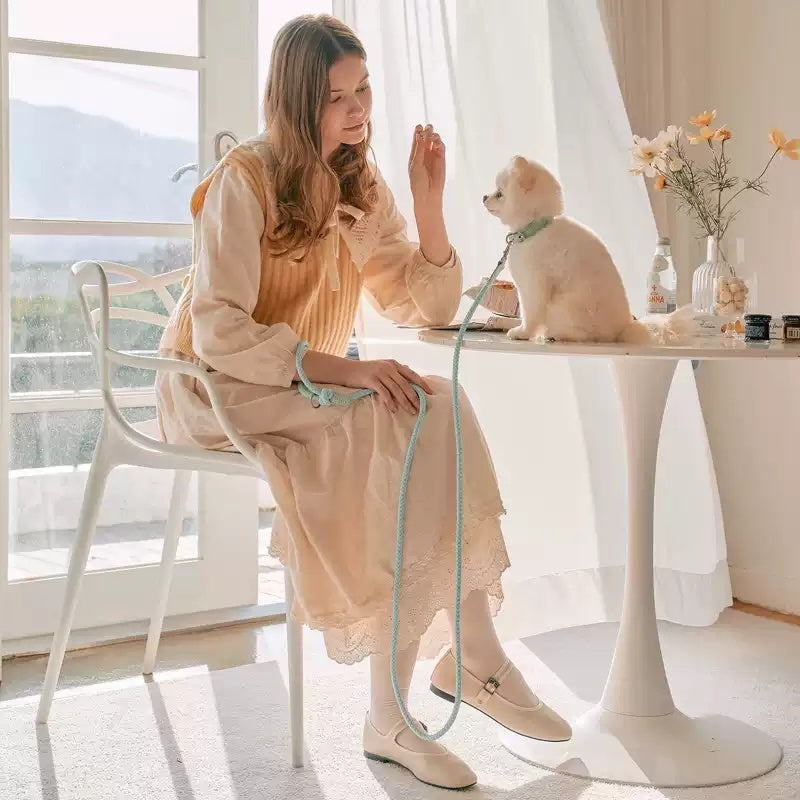 Dog Collar Leather Hand Holding Rope Leash