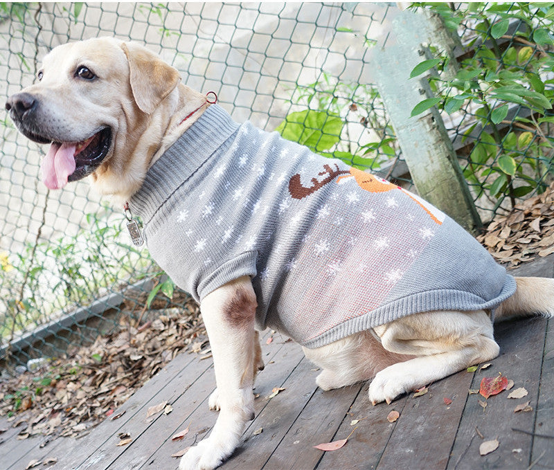 Cozy Winter Pet Cotton Sweater for Ultimate Comfort