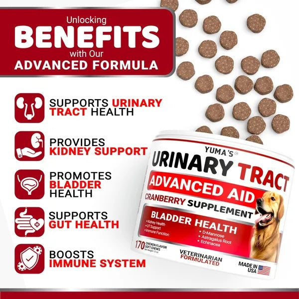 Cranberry UTI Treatment for Dogs - 170 Chews for Bladder Health