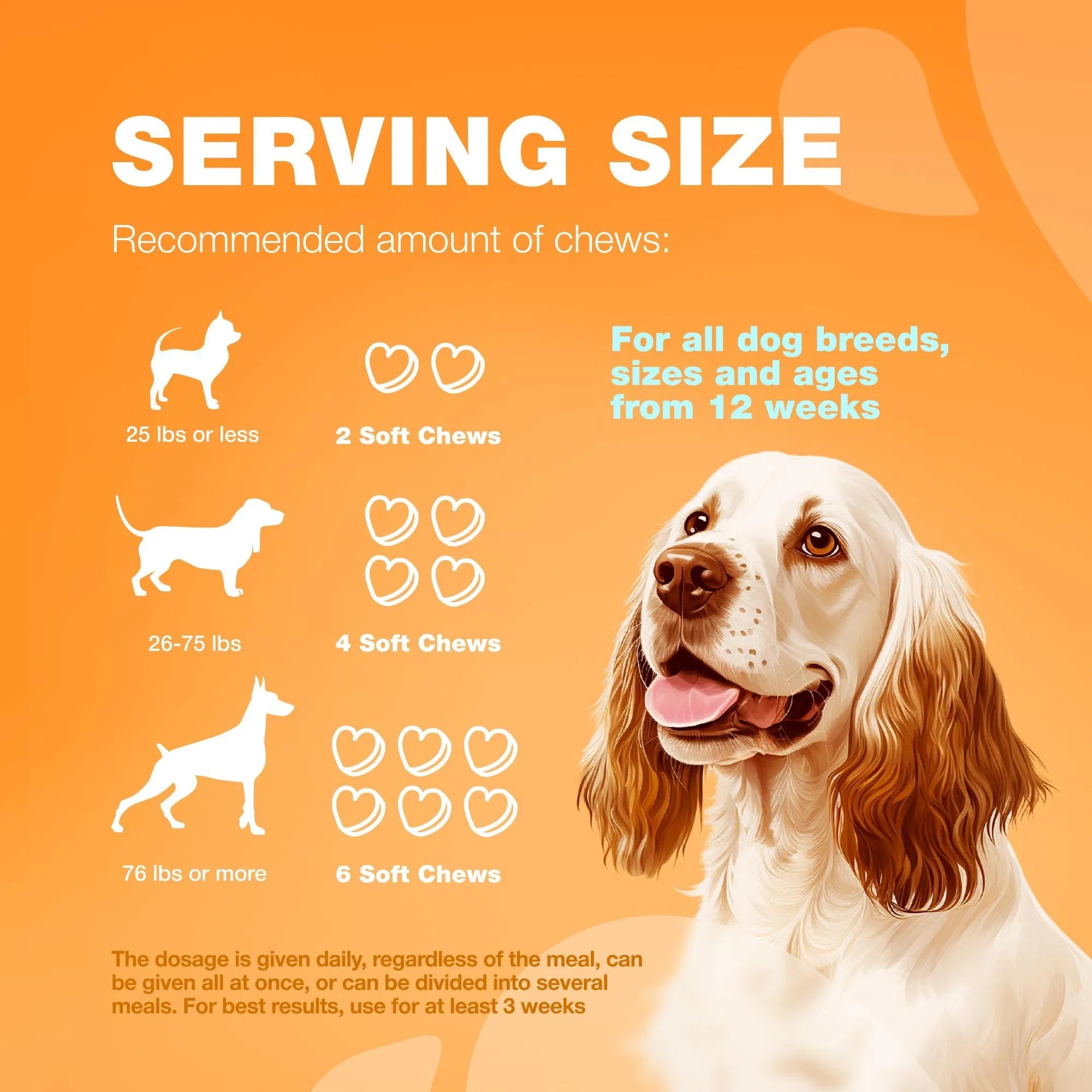Dog Allergy Relief Chews for Itch and Skin Health Support
