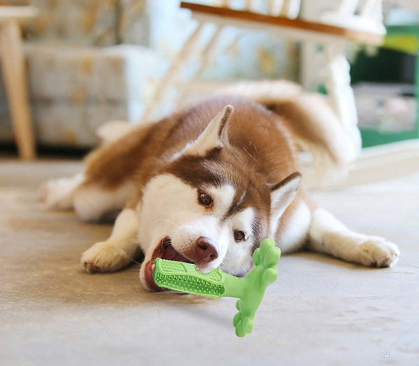 Dog Molar Large Dog Brushing Artifact Toy Pet Supplies