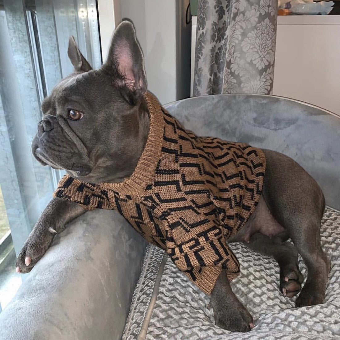 Puppy Casual Brown Letter Sweater
