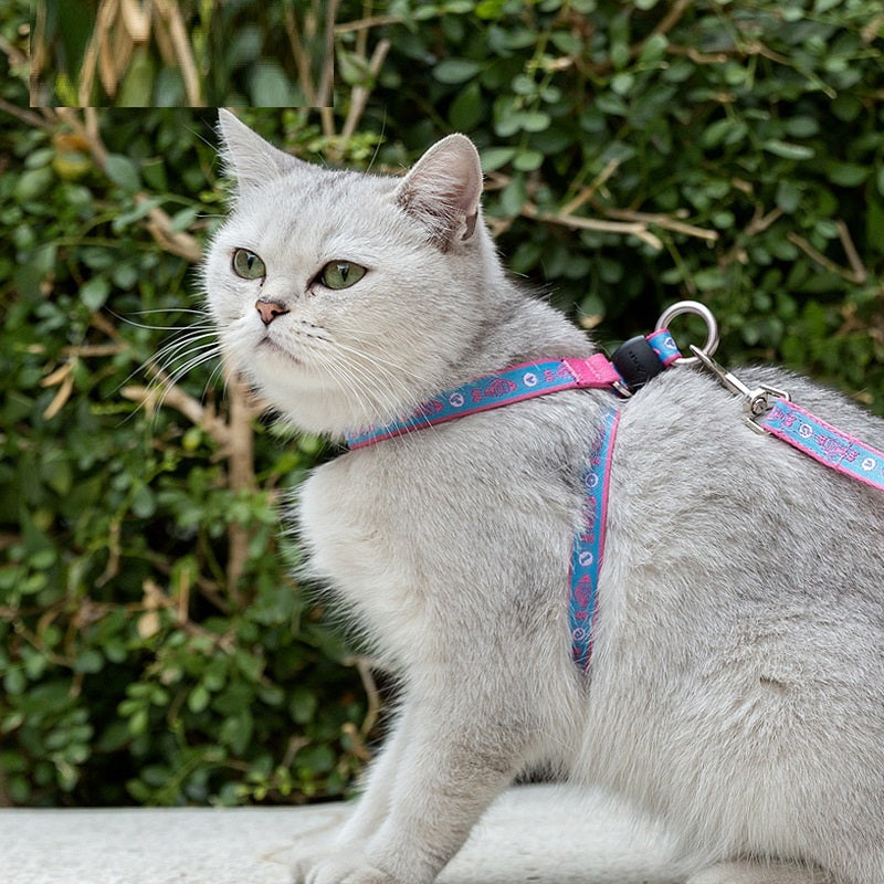 Pet Cat Bell Chest Strap Leash
