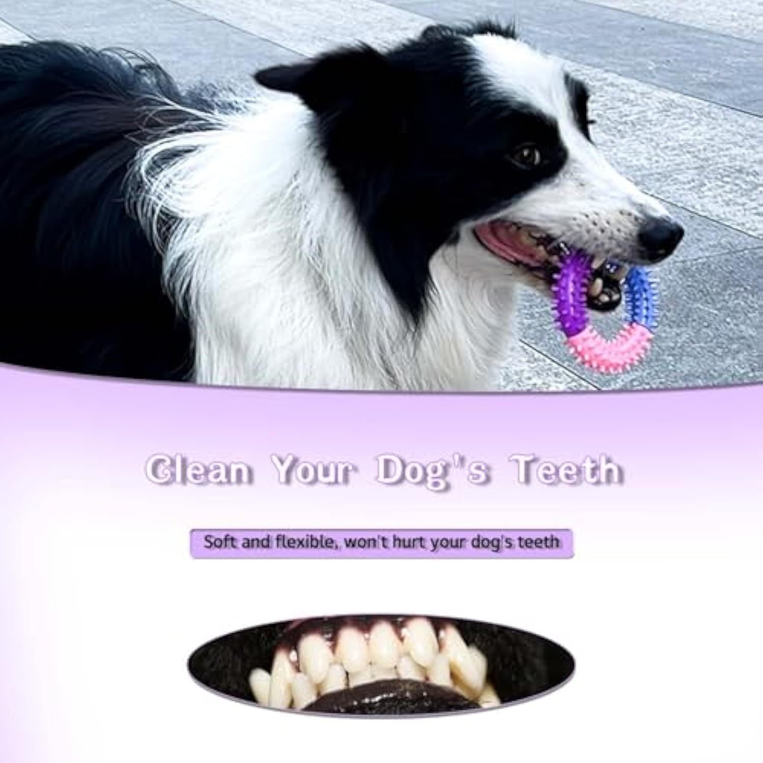 Ring Teething Toys For Medium & Large Dogs - Dog holding teething toy, promoting dental health and comfort.