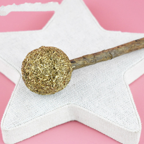 Cat Snack Cat Molar Stick