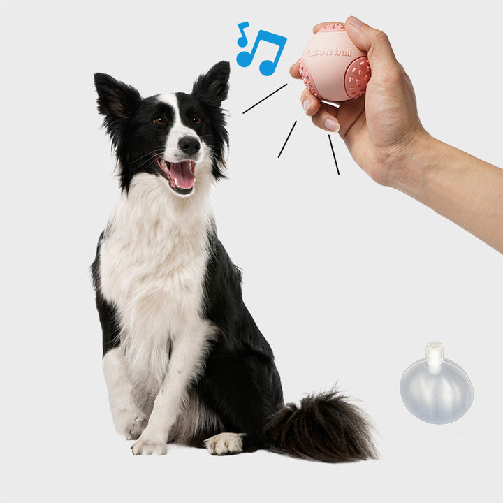 Durable Peppy Pet Ball For Small Medium Large Dog