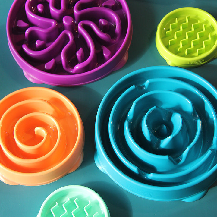 Slow Feeding Bowl