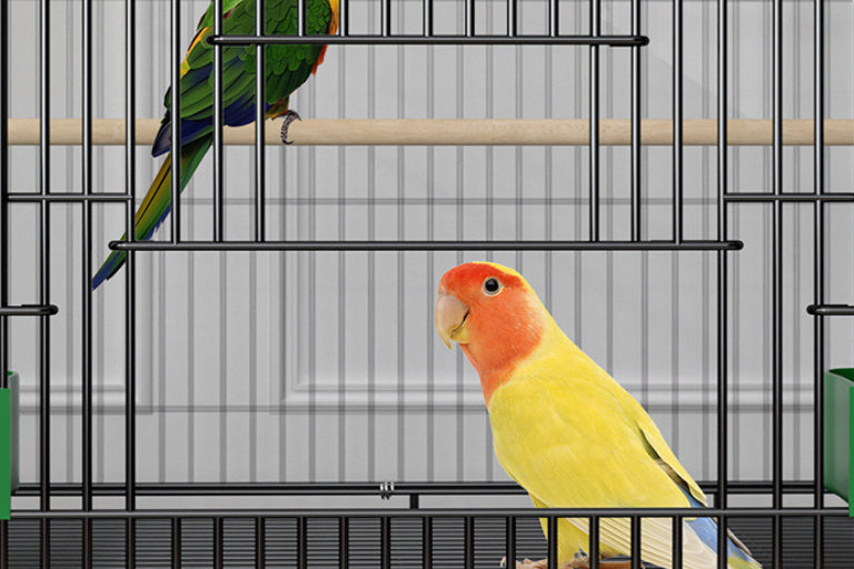 Double Layer Bird Cage