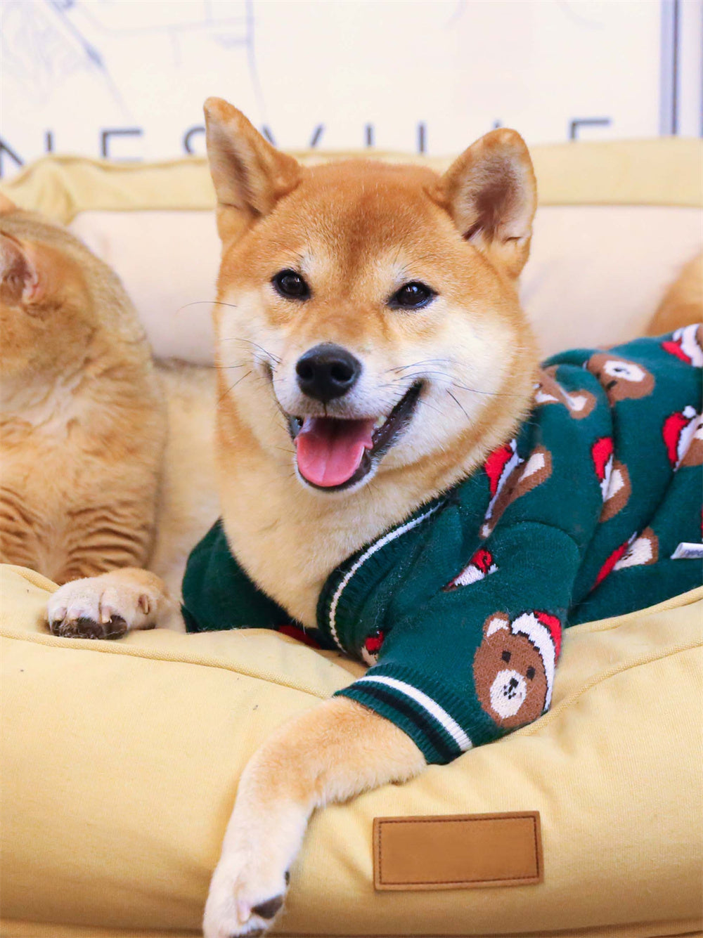 Comfortable Soft Pet Sweater