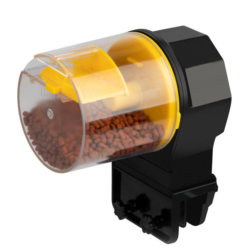 Goldfish Feeding Fish Feeder