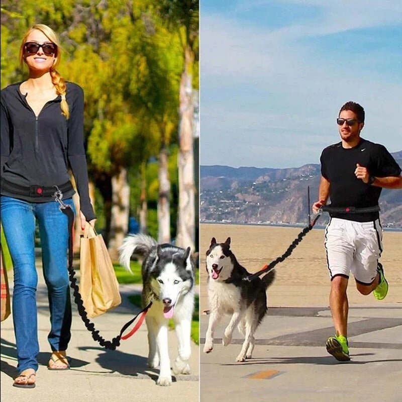 Adjustable Pet Leash - Drool Depot