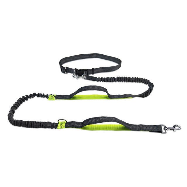 Adjustable Pet Leash - Drool Depot