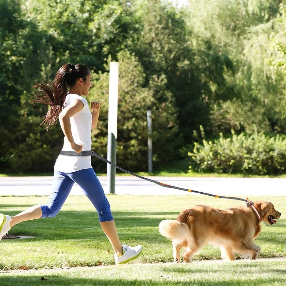 Adjustable Pet Leash - Drool Depot
