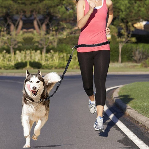 Adjustable Pet Leash - Drool Depot