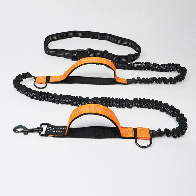 Adjustable Pet Leash - Drool Depot