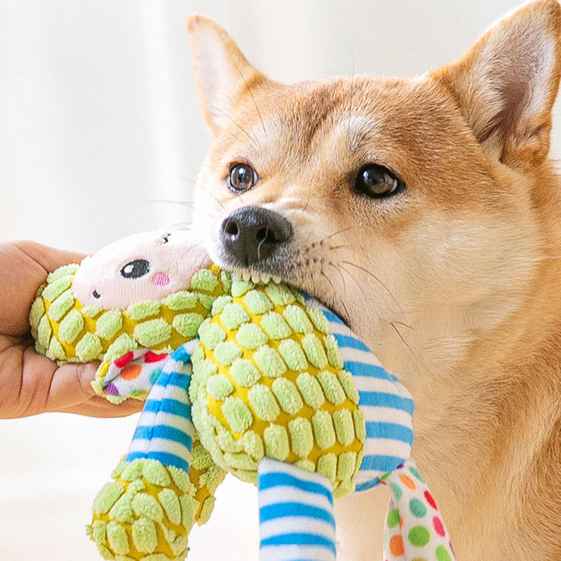 Plush Small And Medium-sized Dog Training Molar Toys