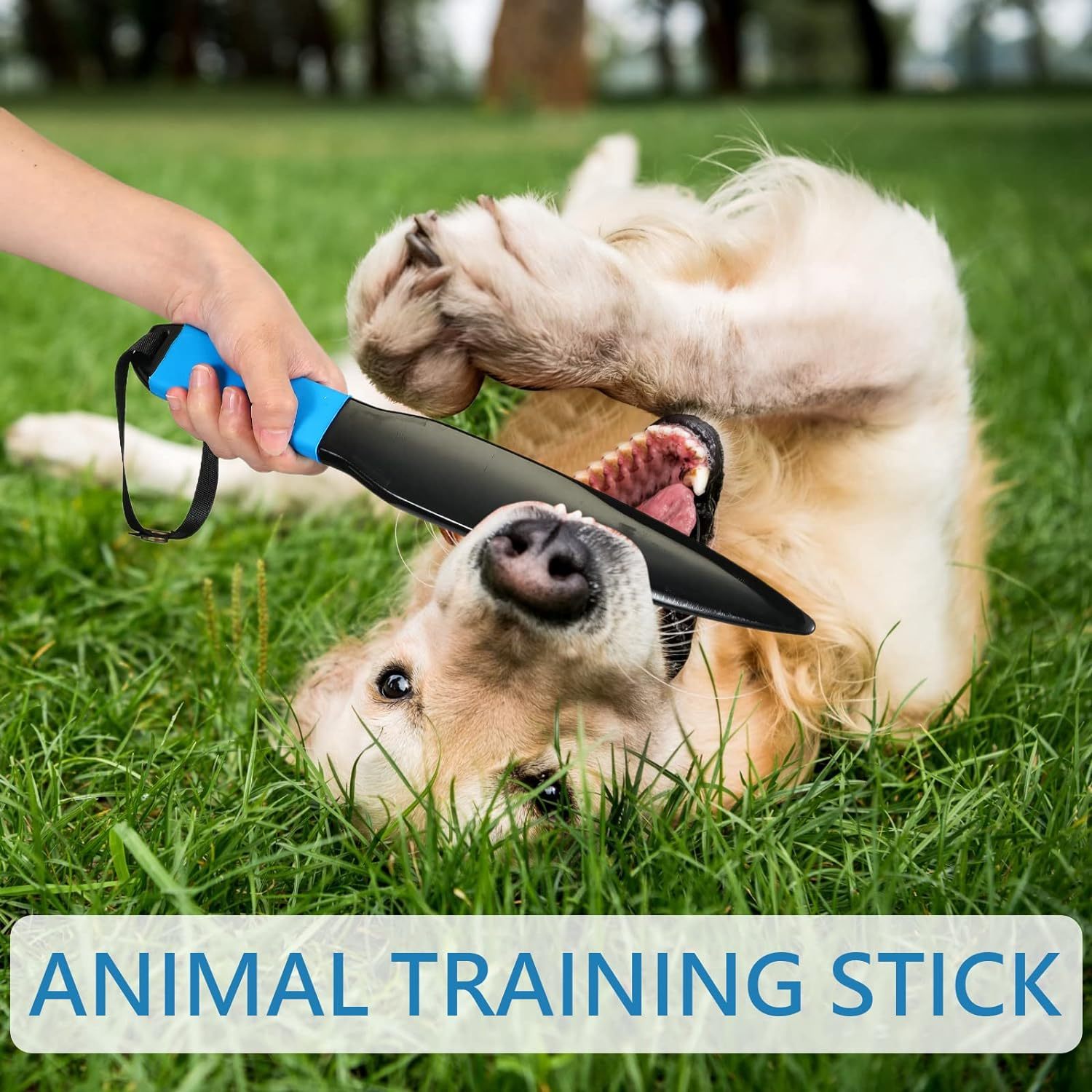 Dog Break Stick Chew Toys For Large & Medium Dogs