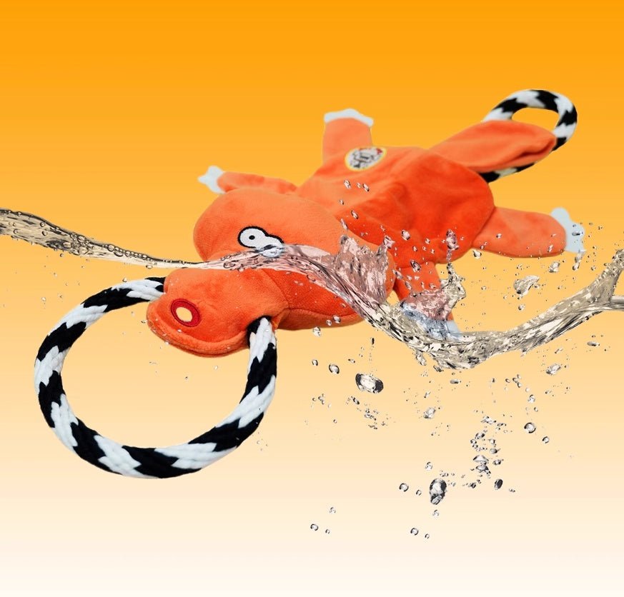 Bichon Medium Large Dog Molar Sound Toys - Drool Depot