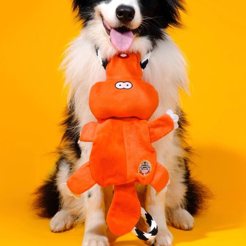 Bichon Medium Large Dog Molar Sound Toys - Drool Depot