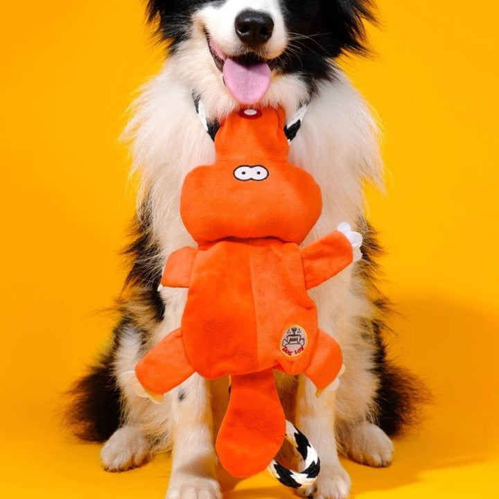 Bichon Medium Large Dog Molar Sound Toys - Drool Depot