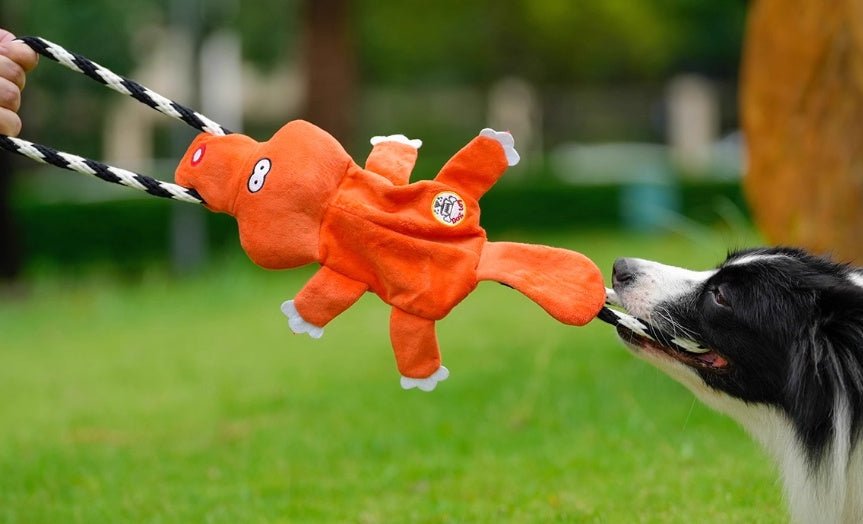 Bichon Medium Large Dog Molar Sound Toys - Drool Depot