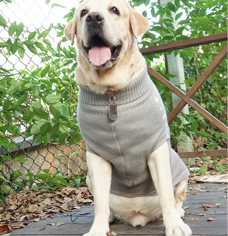 Cozy Winter Pet Cotton Sweater for Ultimate Comfort
