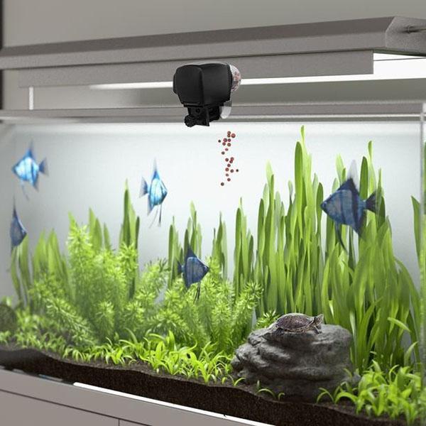 Digital Automatic Aquarium Fish Feeder - Drool Depot