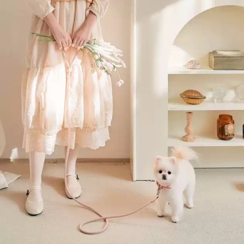 Dog Collar Leather Hand Holding Rope Leash - Drool Depot