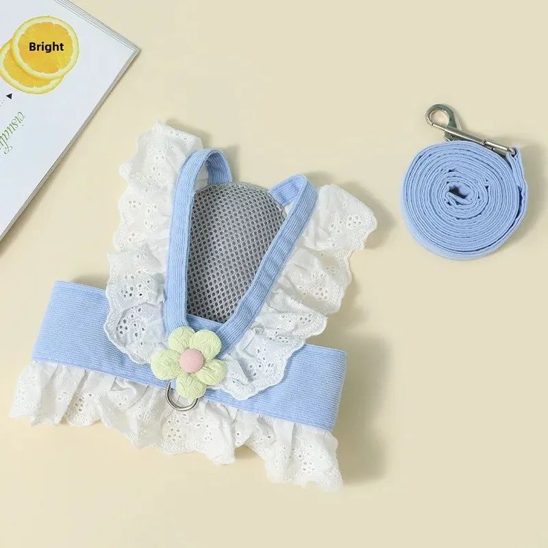 Dog Walking Strap Leash - Drool Depot