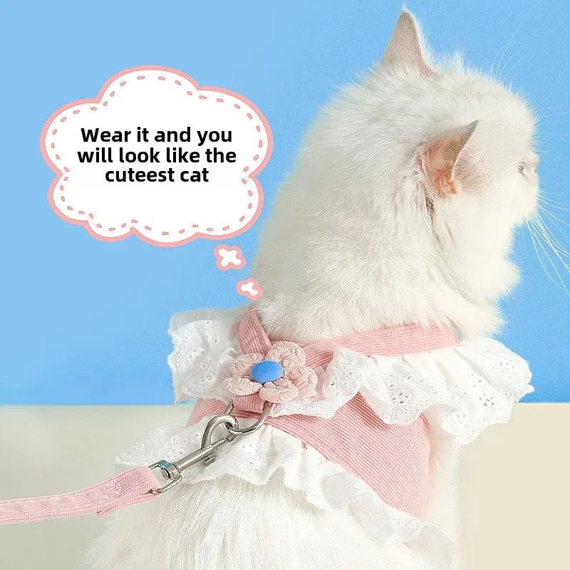 Dog Walking Strap Leash - Drool Depot