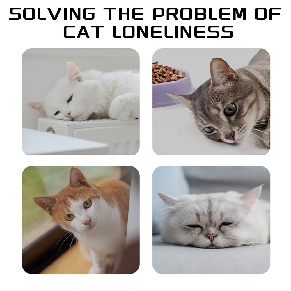 Durable Pet Knots Chew Rope Toy for Engaging Playtime - Drool Depot