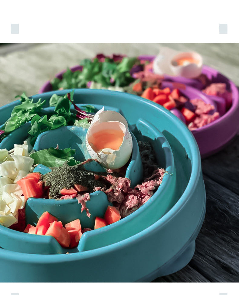 Slow Feeding Bowl