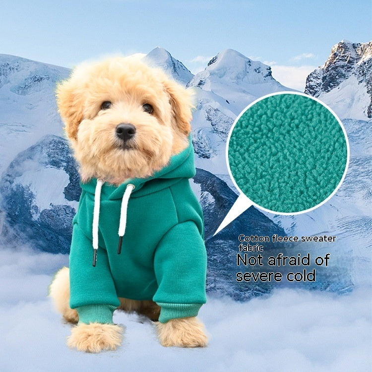 Pet Simple Hooded Sweater