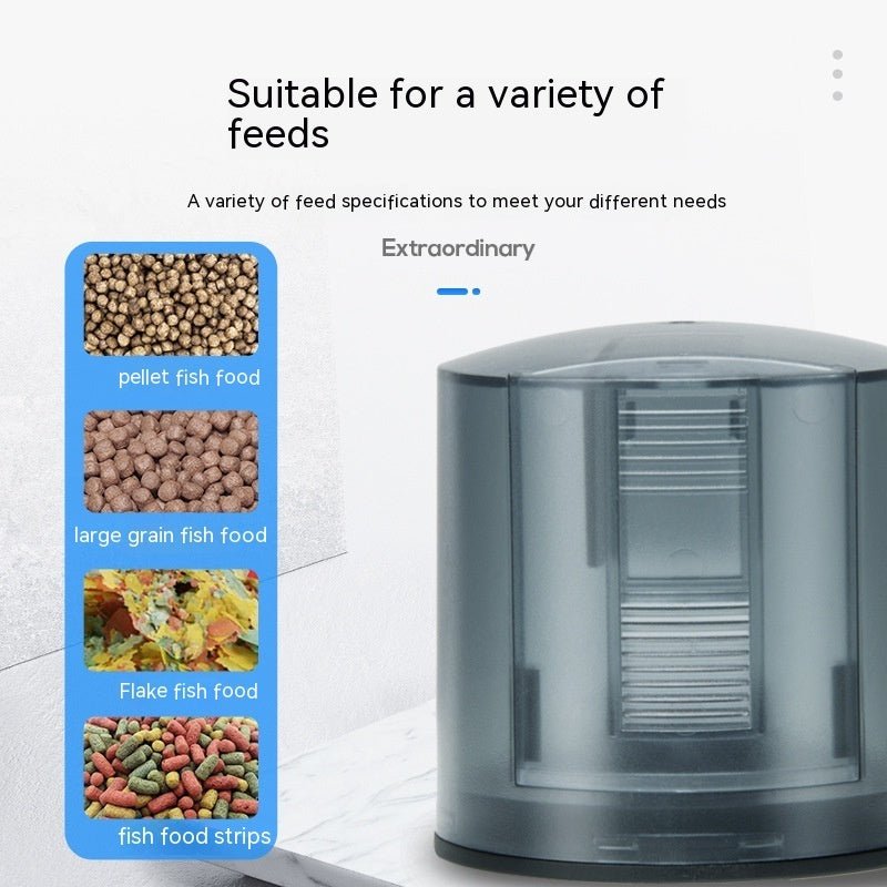 Feeder Fish Tank Intelligent Timing - Drool Depot