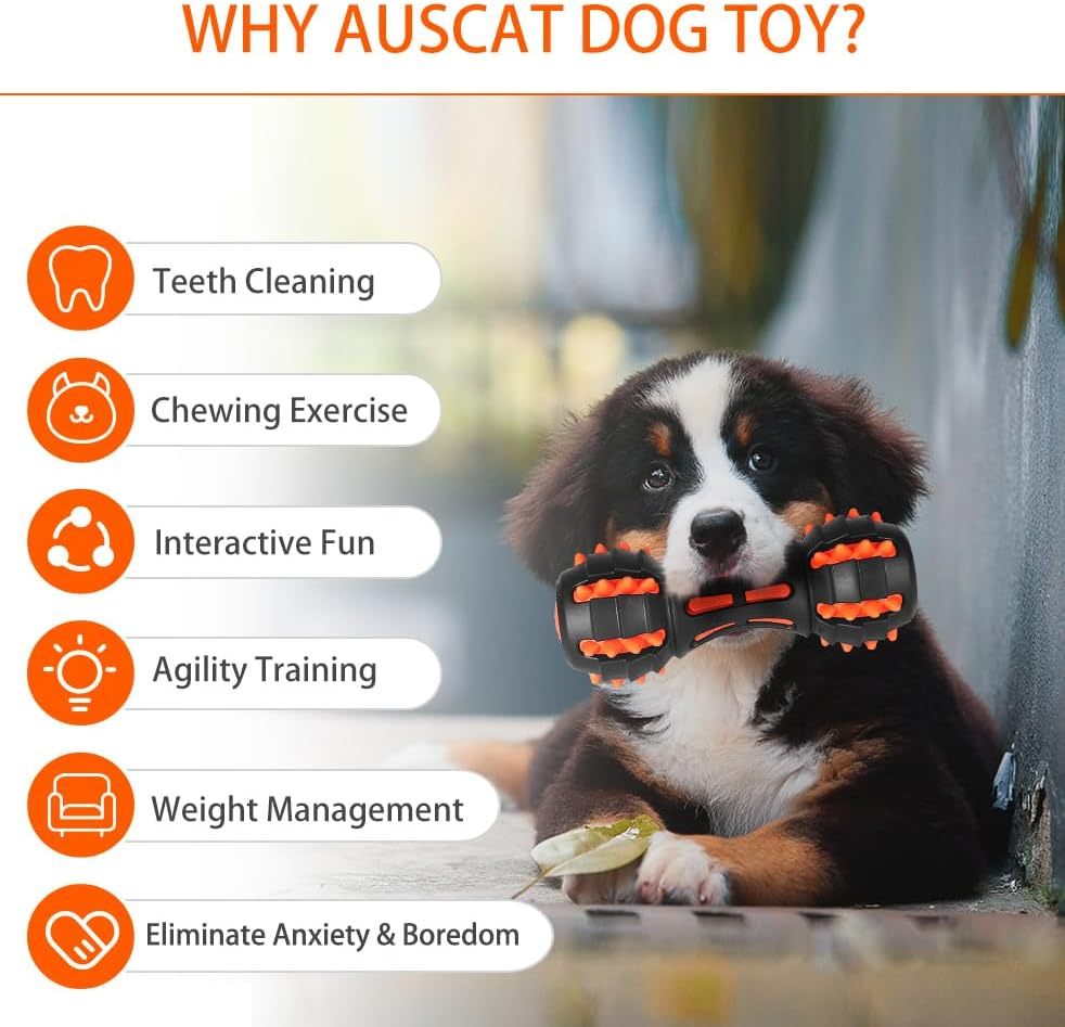 Large Dog Squeaky Toys For Aggressive Chewers - Drool Depot