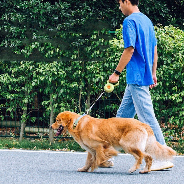Retractable Pet Leash Reflective Rope - Drool Depot