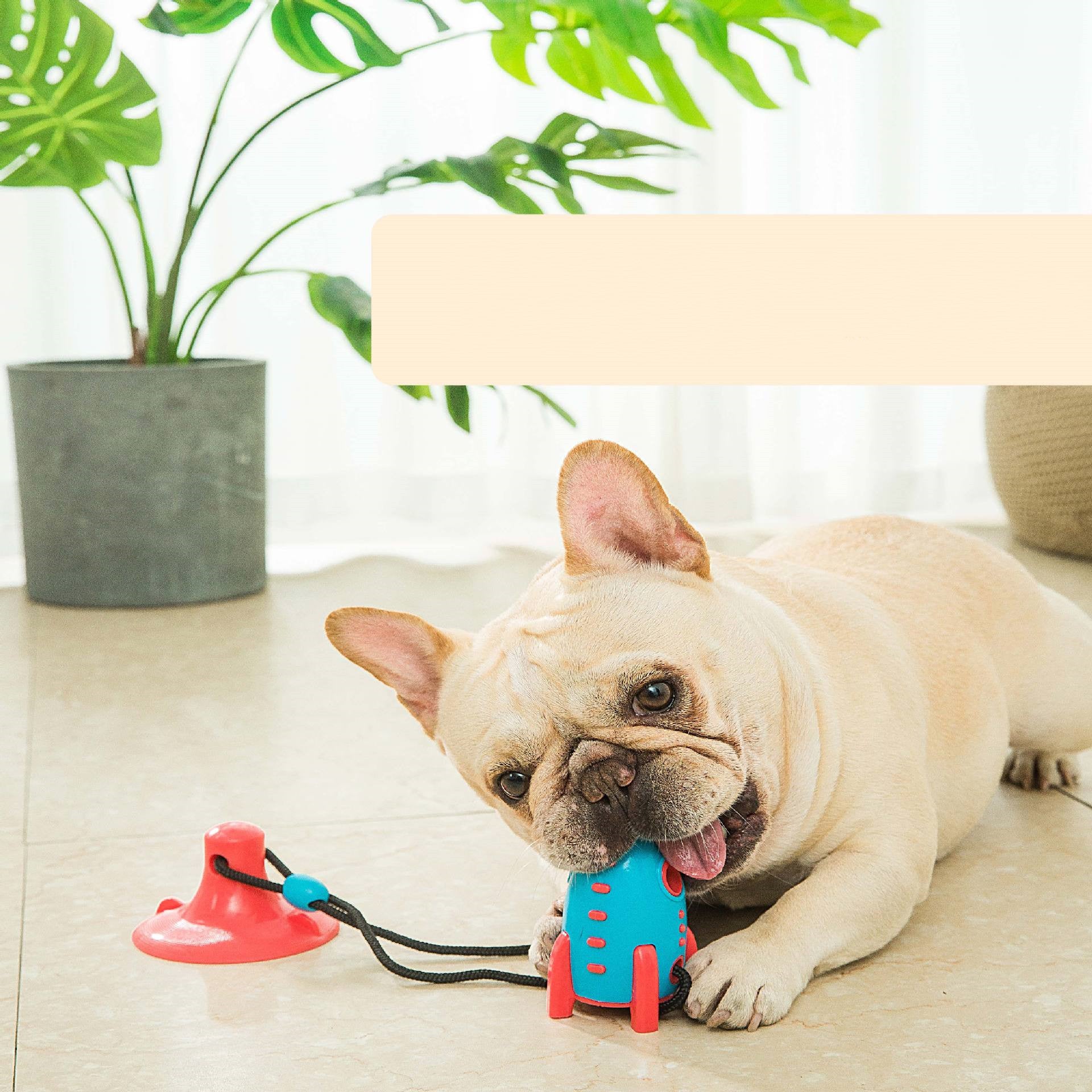 Rocket Leaking Food Dog Bite Toy - Drool Depot