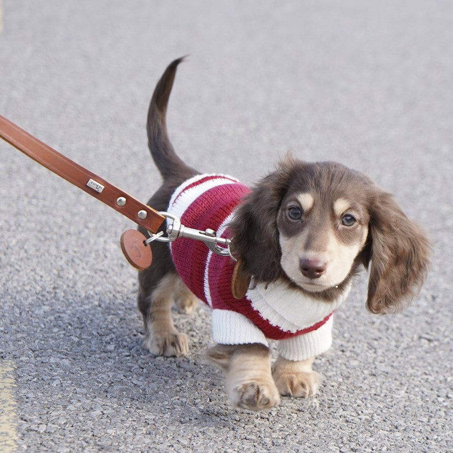 Sausage Dog Clothes Small Dog Cat Warm Thickened Sweater - Drool Depot