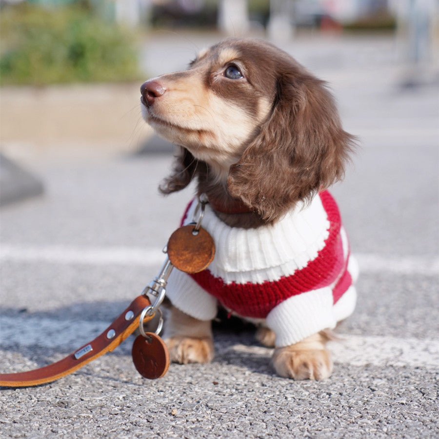 Sausage Dog Clothes Small Dog Cat Warm Thickened Sweater - Drool Depot