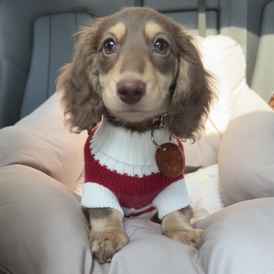 Sausage Dog Clothes Small Dog Cat Warm Thickened Sweater - Drool Depot