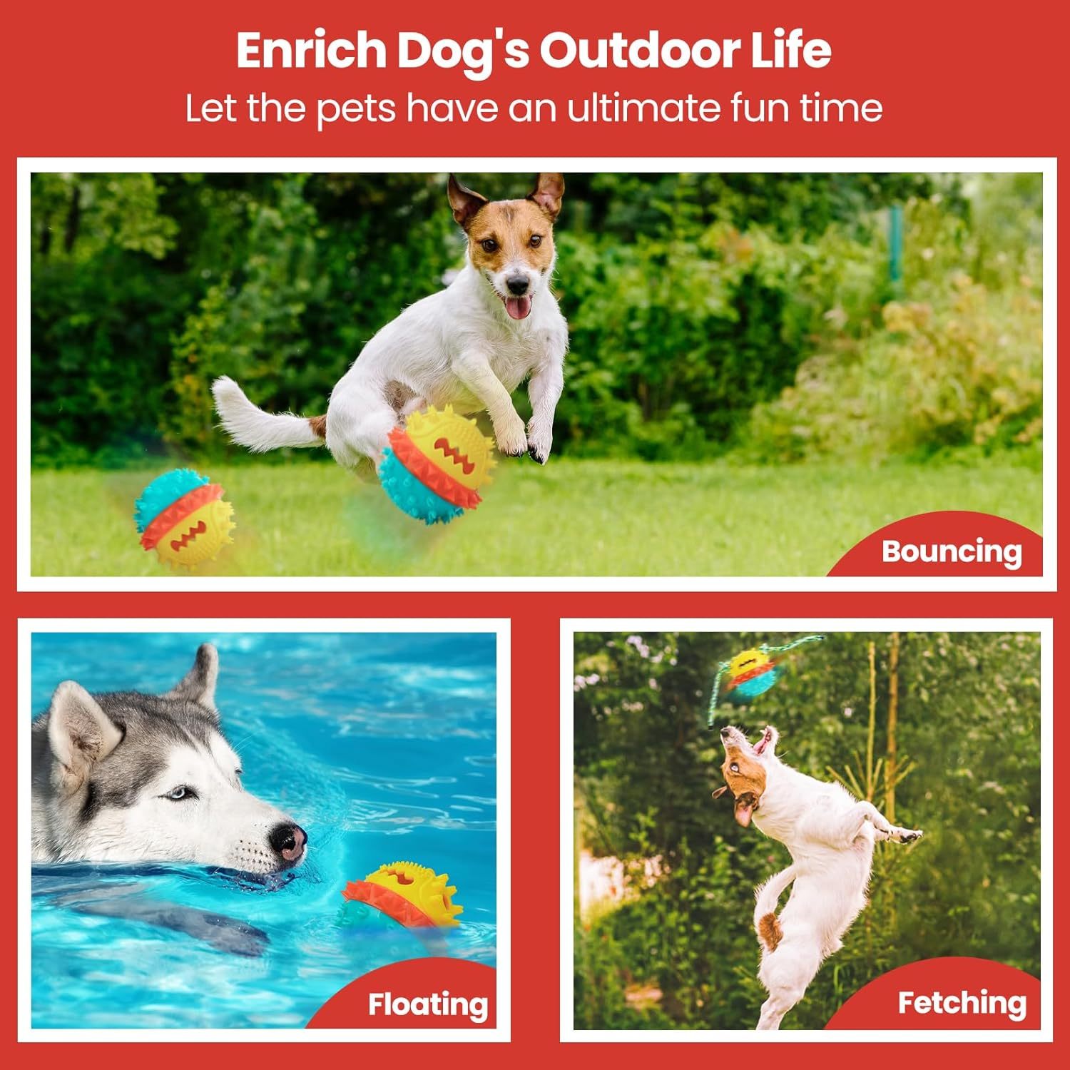 Squeaky Dog Toys For Aggressive Chewers - Drool Depot