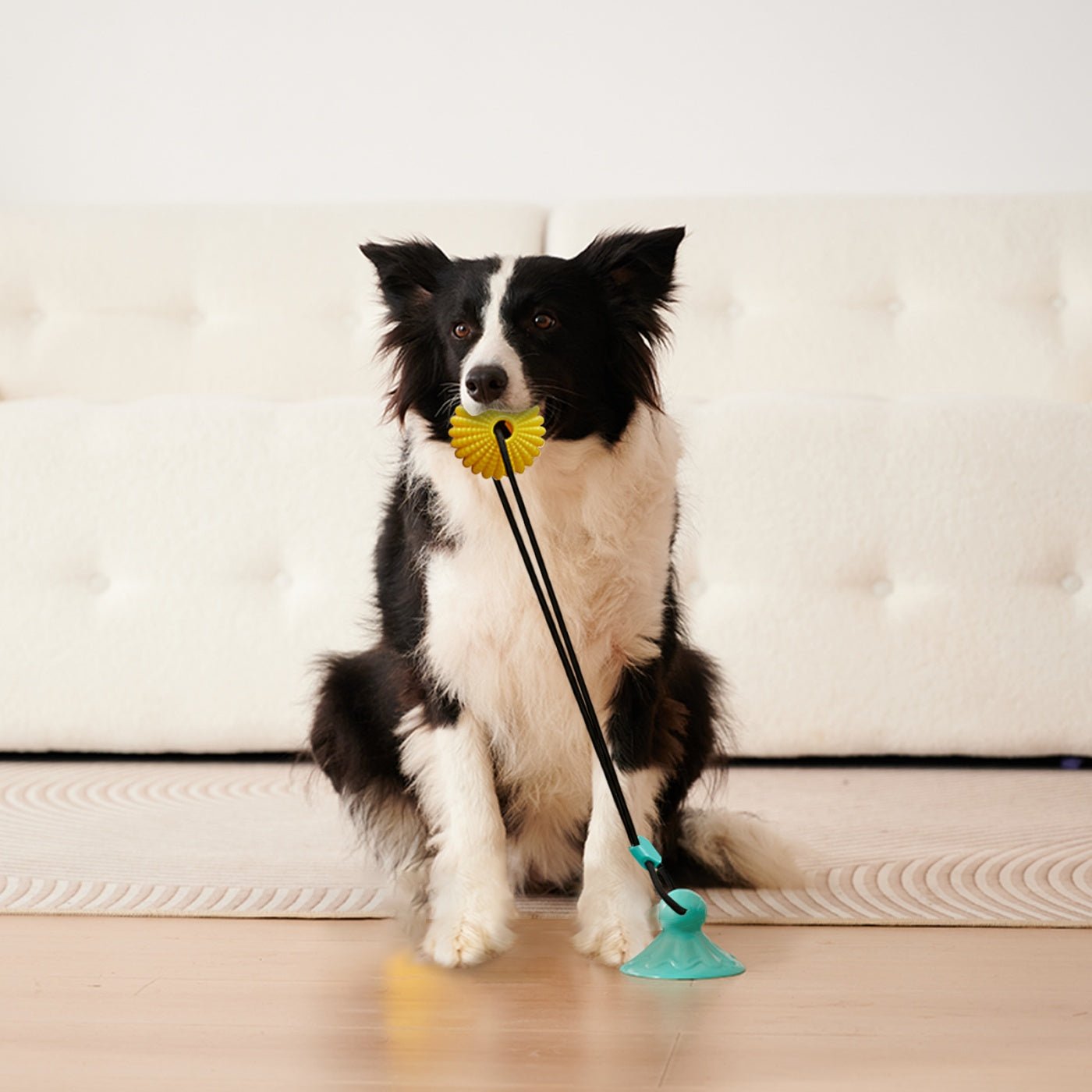 Suction Dog Tug Of War Toys For Medium Large Dogs - Drool Depot