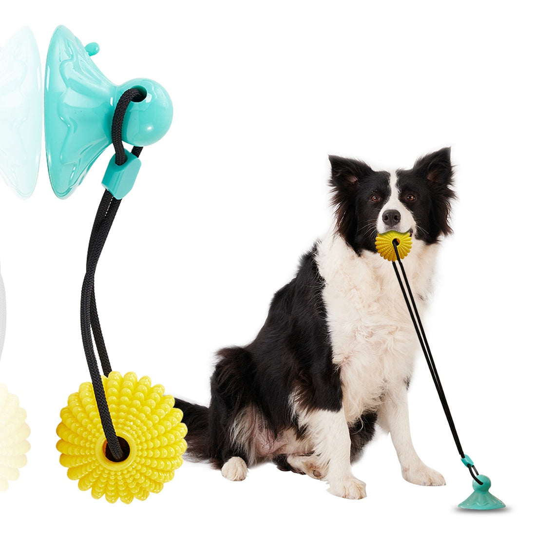 Suction Dog Tug Of War Toys For Medium Large Dogs - Drool Depot