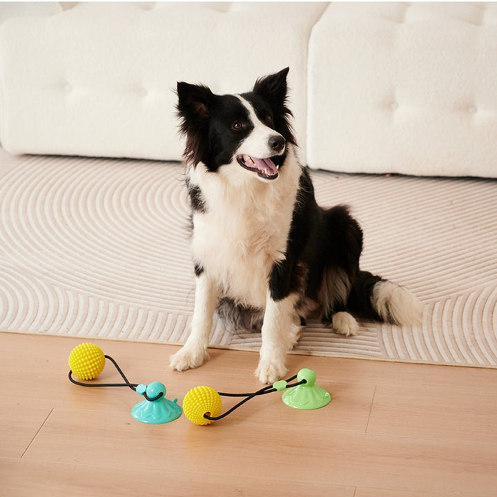 Suction Dog Tug Of War Toys For Medium Large Dogs - Drool Depot